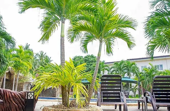 Hotel Camotes Island Ocean Heaven Cebu